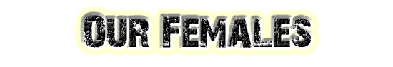 Our Females - Page Title