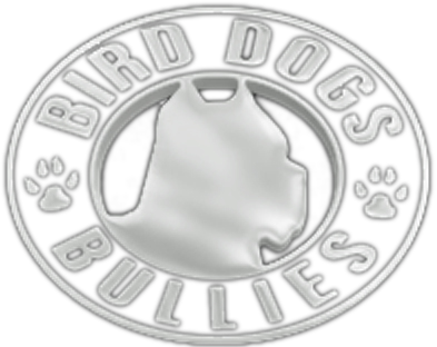 Bird Dogs Bullies